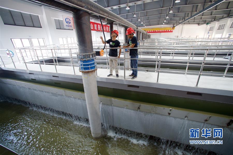 （環境）（4）福州洋里污水廠完成一二三期提標改造通水試運行